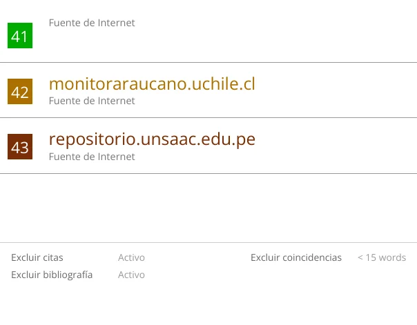 Resumen de filtros aplicados al final del reporte de Turnitin
